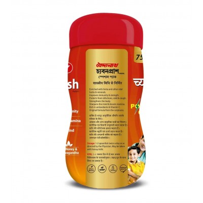 Чаванпраш Спешиал - Особенный 500 г / Chyawanprash special - увеличение иммунитета - Байдьянатх