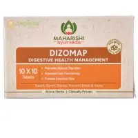 Дізомап / Dizomap - Махаріші Аюрведа -100 таб.