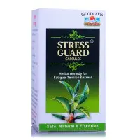 Стресс гард / Stress Guard - успокоение нервной системы - Бадьянатх - 60 капсул
